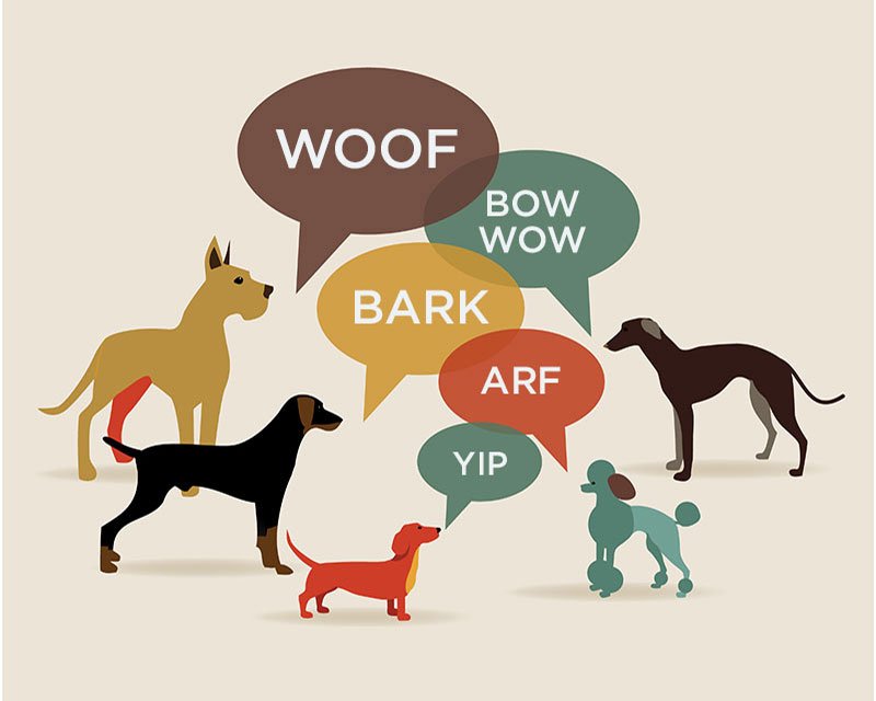 Dog Speak: The Sounds of Dogs | The Bark