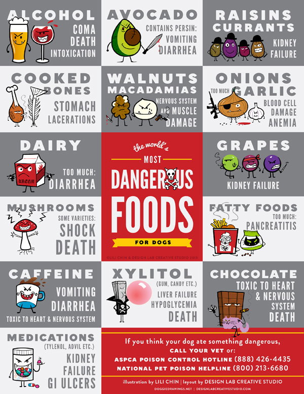 Most Dangerous Foods for Dogs 