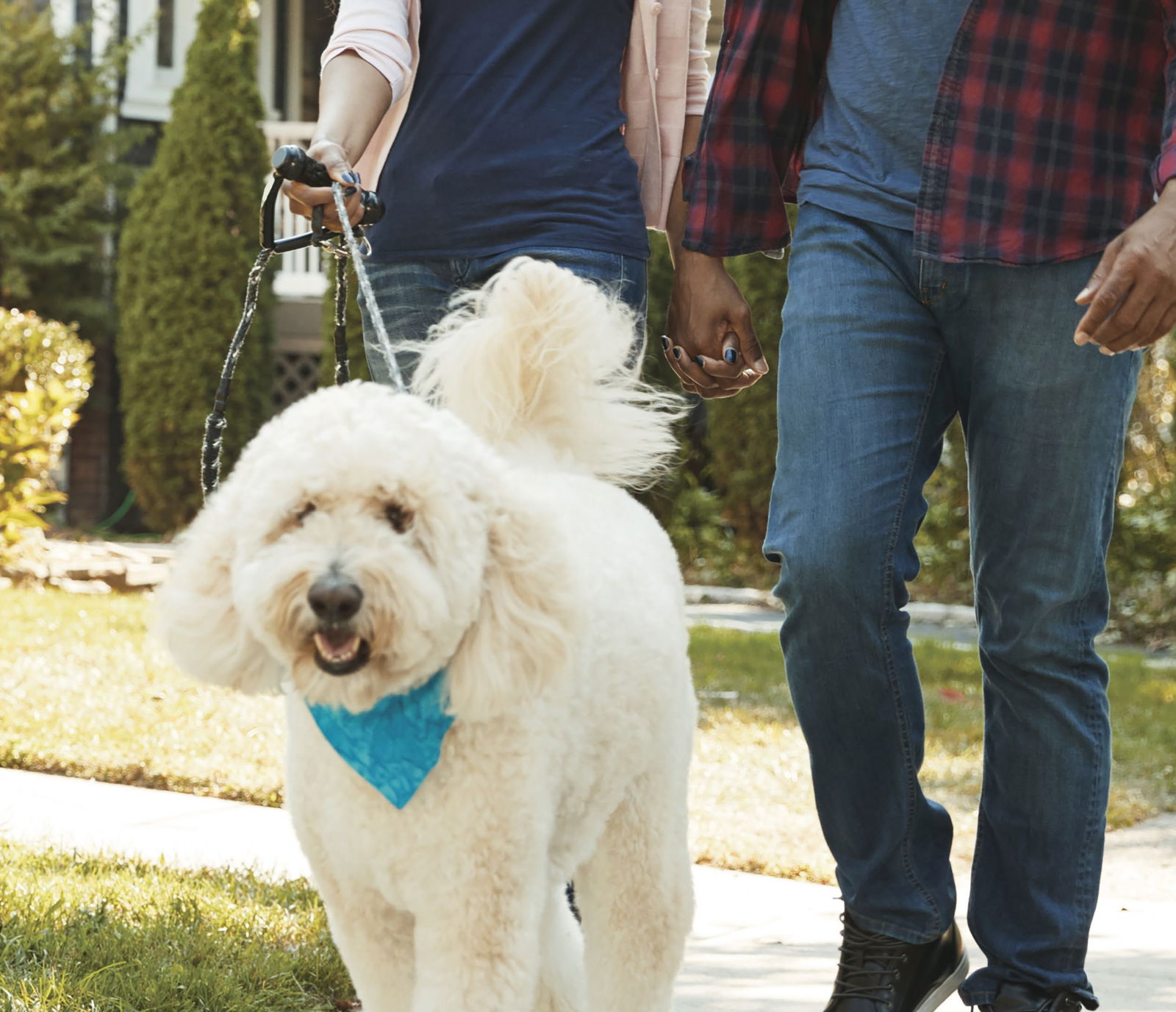 rude dog walkers