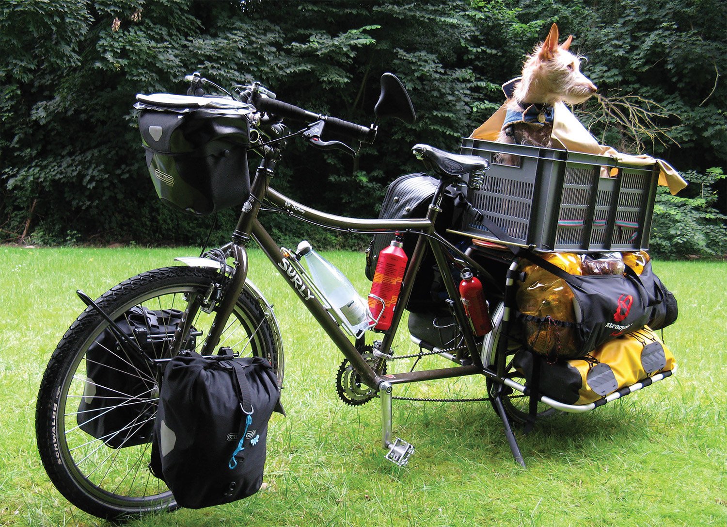 dog basket for back of bike