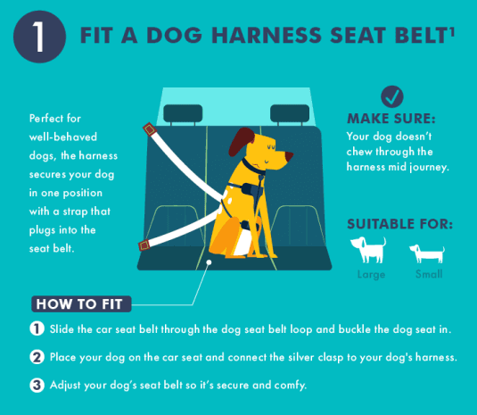 dog seat belt loop