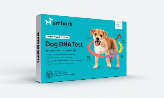 5 Best Dog DNA Test Kits