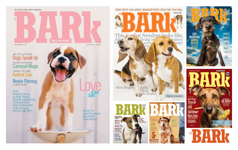 the bark subscription