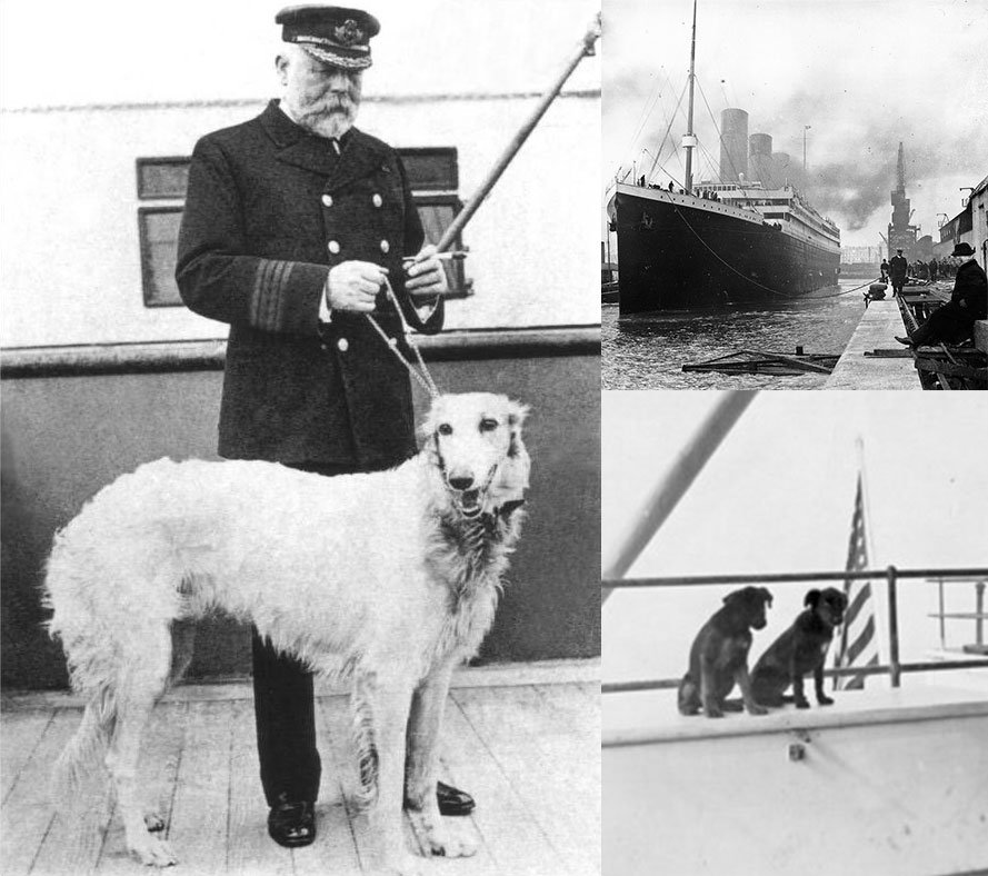 How many dogs survived the Titanic?