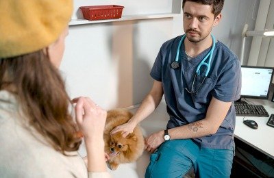 asking veterinarian questions