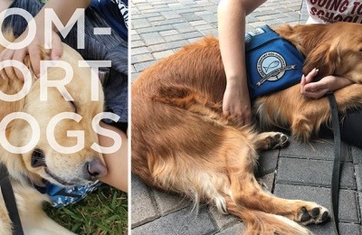 Left: Tobias comforts a child in Parkland, Florida. Right: Sasha supporting a grieving student with her gentle presence.
