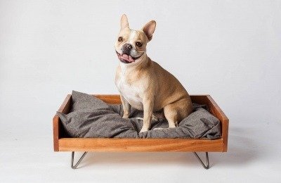 Pictured: Dog on elegant and beautiful wooden dog bed frame