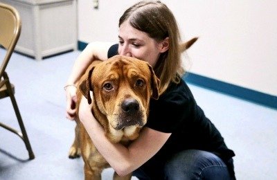 Sam Cohen with a dog at a shelter. (Credit: Cadence L. Baugh Chang/Indiana U.)