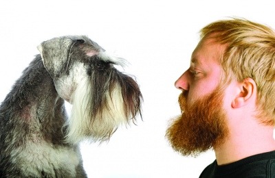 cleanliness of dogs vs men with beards