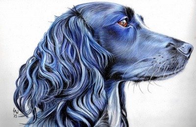 Dog Memorials: Honoring A Life
