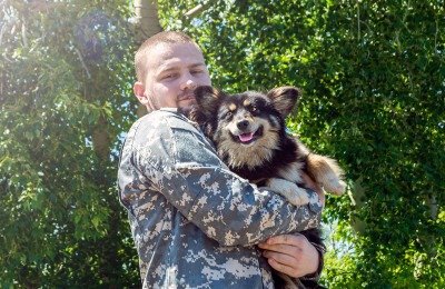 military and pets