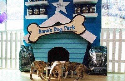 Anna's Dog Park