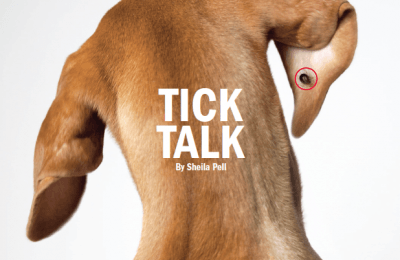 Tick Talk