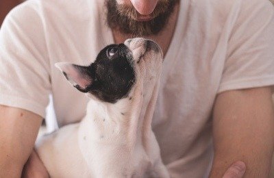 Men with Dogs -- Does Your Dog Make You Attractive?