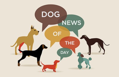 dog news of the day