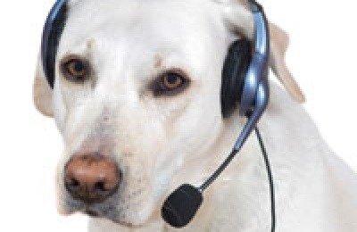 LOST DOG CALL CENTER