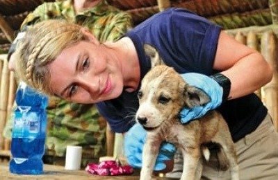 World Vets veterinarian Dr. Lydia Tong examines a pup in Vanuatua.