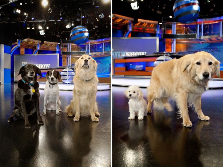 Left: Parker, Ally and Kweli Right: Teddy & Kweli on the set of The Daily Show