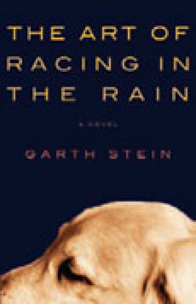 ART OF RACING IN THE RAIN BY GARTH STEIN