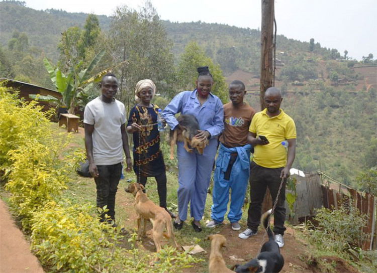 Dog Rescue in Central Africa