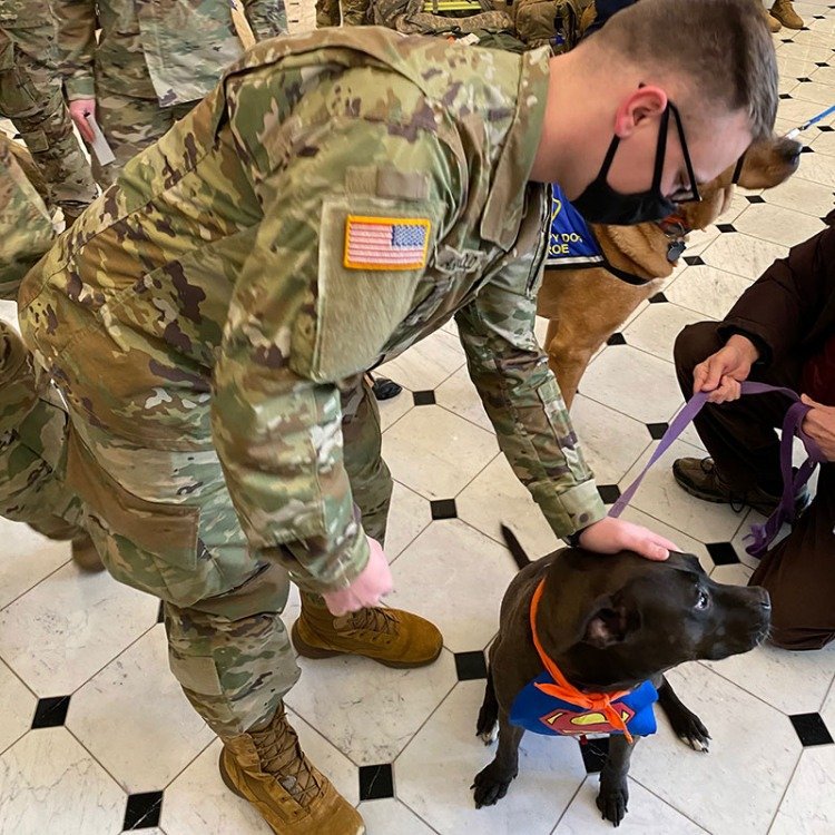national guard with dogs