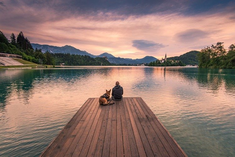 dog and man at lake