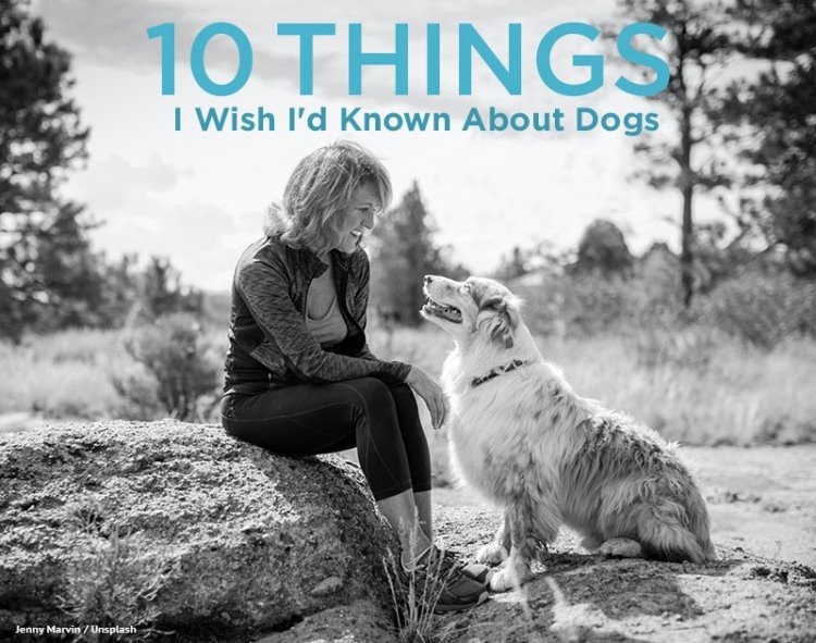 10 things to know about dogs
