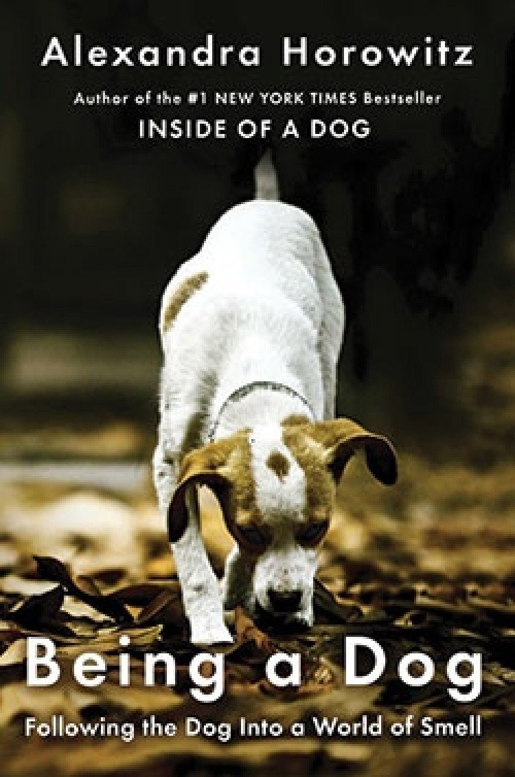 Book Review: Being a Dog by Alexandra Horowitz