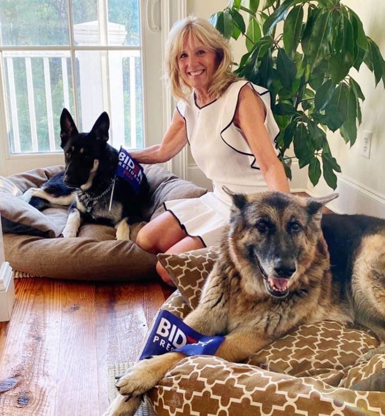 Dr. Jill Biden and the Bidens' Dogs, Champ and Major