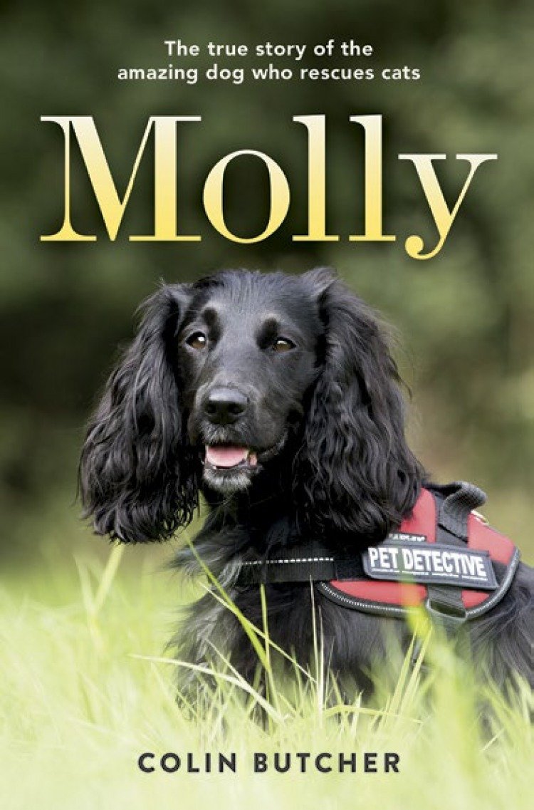 MOLLY BY COLIN BUTCHER