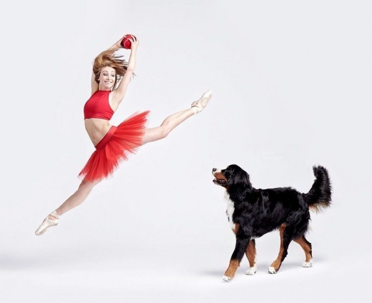 Dancers \u0026 Dogs Are A Pet Project | The Bark