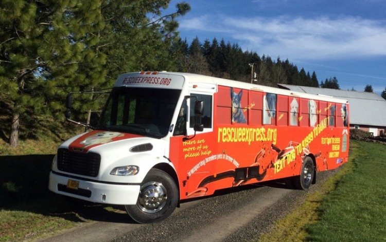 Rescue Express Transport Bus - Takes Dog From LA to Washington