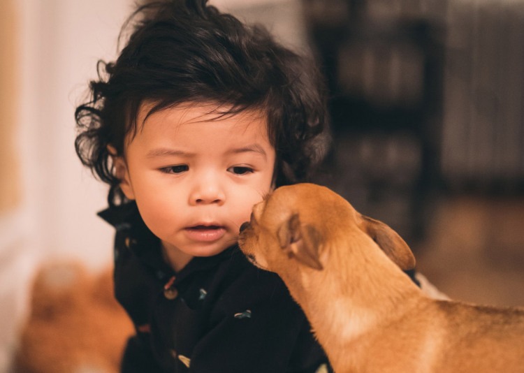Interpreting Canine Body Language about Children