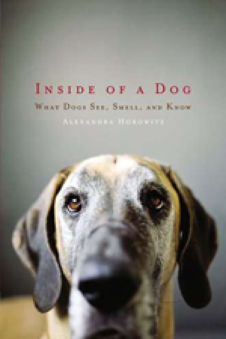 Inside of A Dog by Alexandra Horowitz