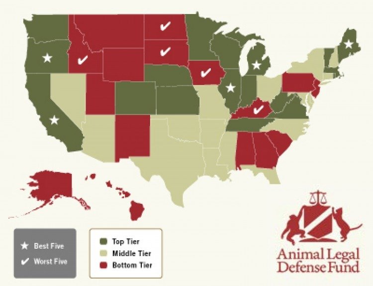 Best and Worst States for Animals | The Bark