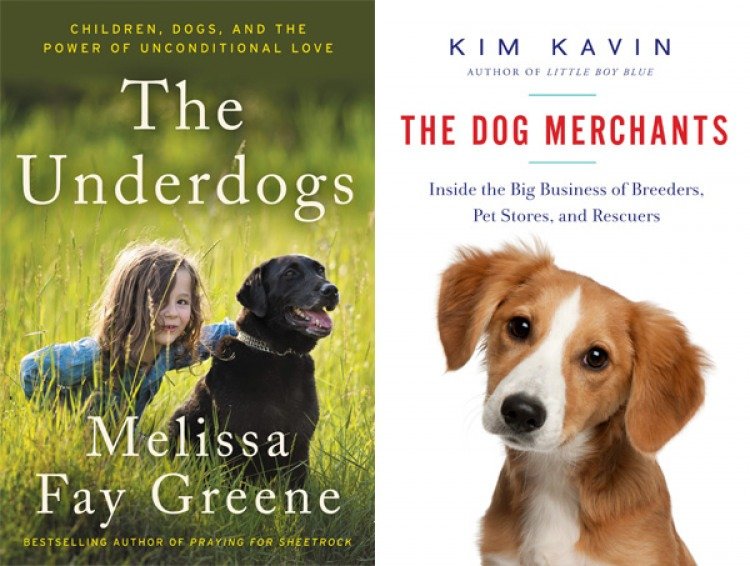 Book Cover for Review of The Underdogs (Greene) and The Dog Merchants (Kavin)