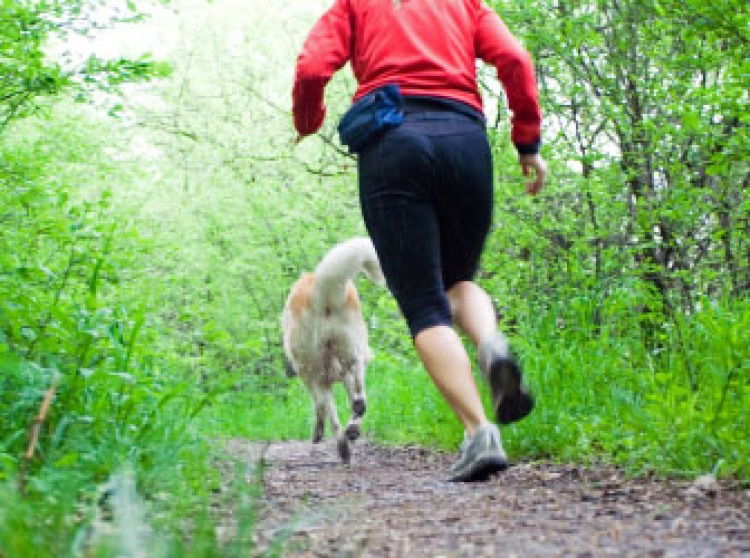 why do dogs bark at runners