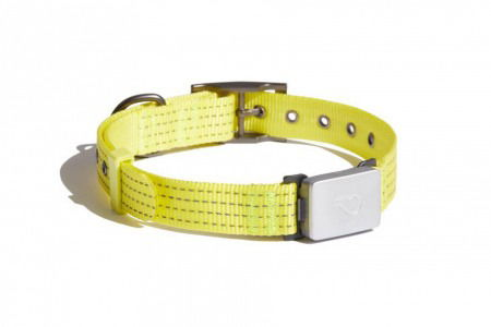 Small dog tracking store collar