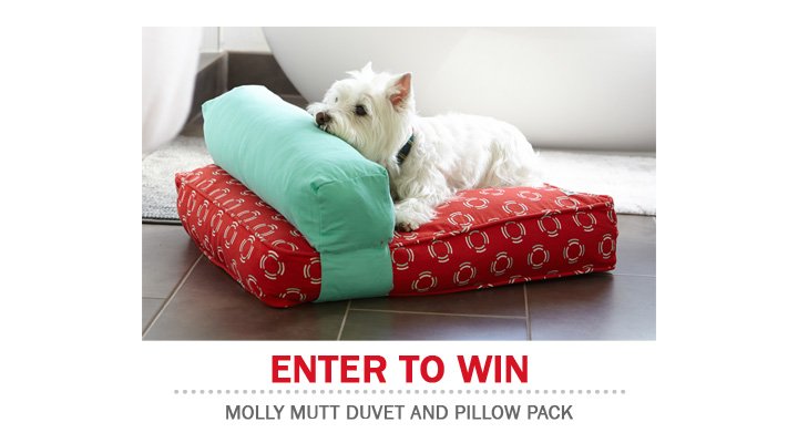 Molly Mutt Pillow Pack | The Bark