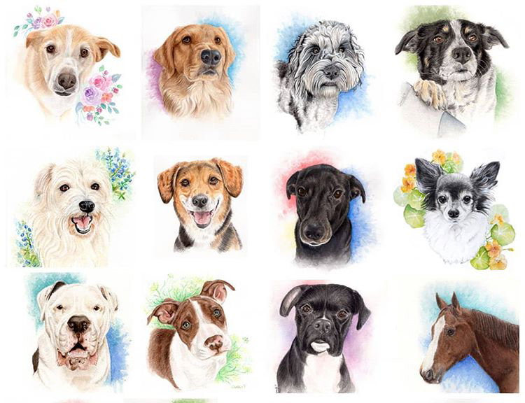 Enter to Win a Watercolor Dog Portrait | The Bark