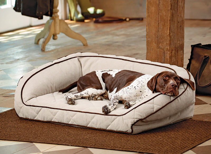 most comfortable dog bed